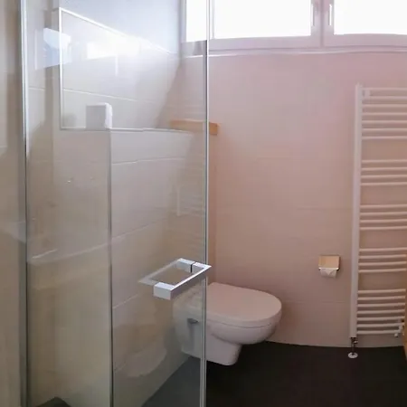 Gæstehus Alpenhof Wohlfuehlpension 3*