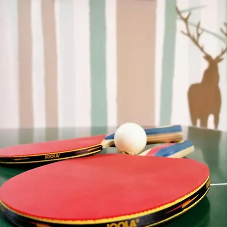 Gæstehus Alpenhof Wohlfuehlpension Obsteig