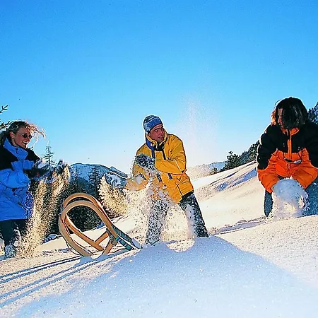 Alpenhof Wohlfuehlpension בית הארחה 3*