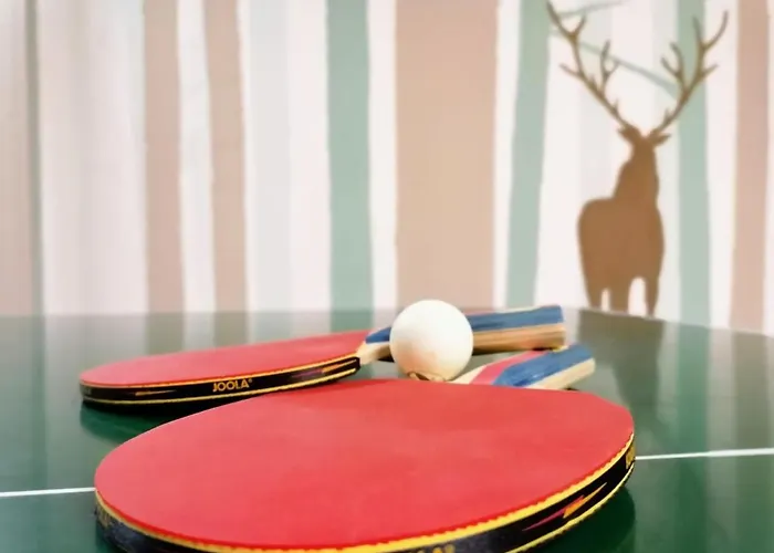 Guest house Alpenhof Wohlfuehlpension Obsteig