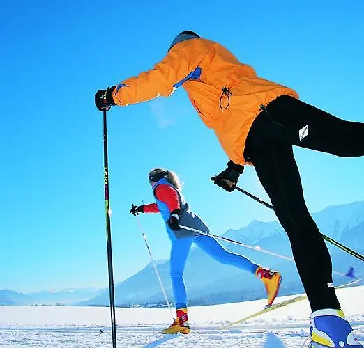 Guest house Alpenhof Wohlfuehlpension 3*